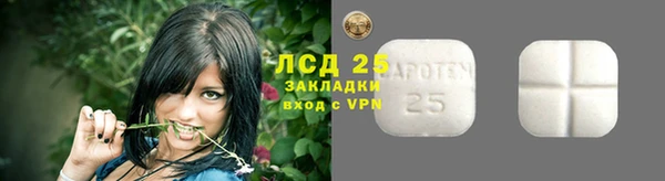 PSILOCYBIN Протвино