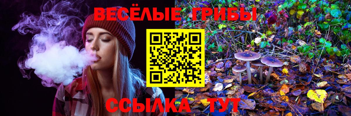 Галлюциногенные грибы Cubensis Дербент